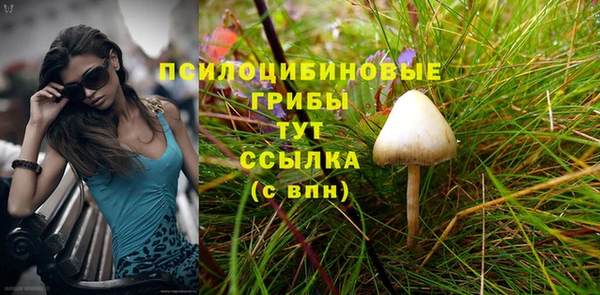 СК Абинск