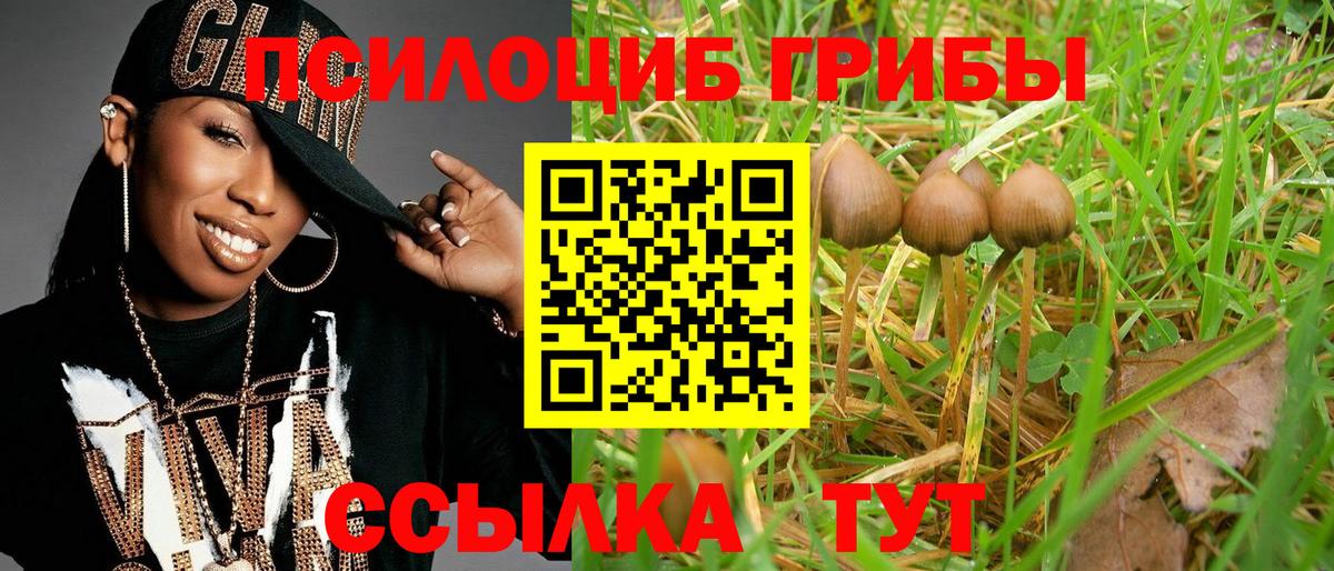 Бугуруслан  цены   Вход с VPN  Псилоцибиновые грибы Psilocybe 
